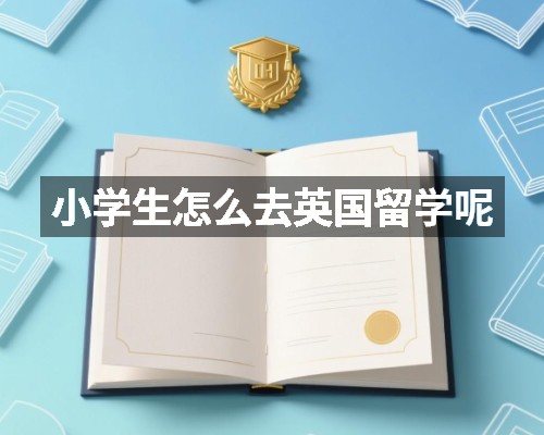 小学生怎么去英国留学呢