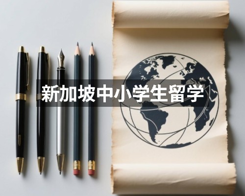 新加坡中小学生留学