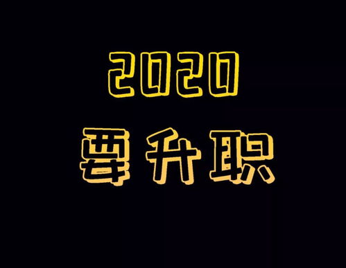 你好2020,2020春晚中，《你好，2020》这首歌的歌词是什么？