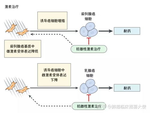 免疫调节,免疫调节的名词解释