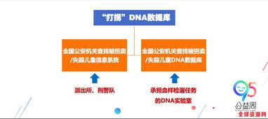 全国警员信息库,8大公安信息资源库是什么