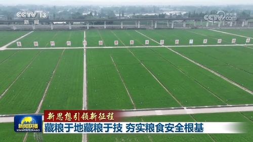 全方位夯实粮食安全根基牢牢守住,全方位夯实粮食安全根基牢牢守住什么亩耕地红线