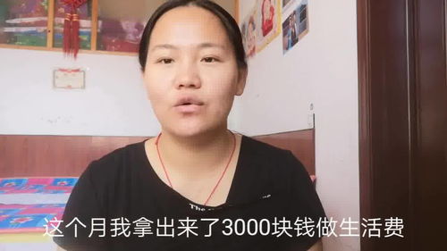 全职妈妈花3000元租自习室假装上班,关于全职妈妈的作文400字