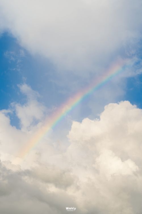 六月的天空,六月的天空是什么意思