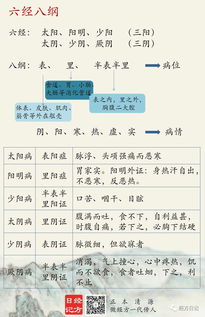 六经辨证,六经辨证是什么意思？
