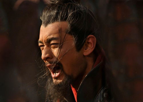 其事体莫须有,桧曰：“飞子云与张宪书虽不明，其事体莫须有