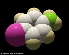 内毒素,什么叫内毒素 外毒素