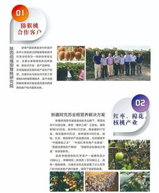 农业标准化,什么是农业标准化？