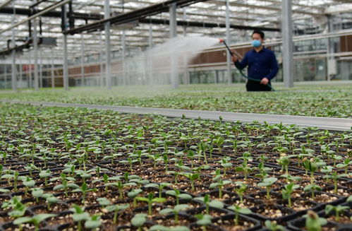 农业生产的特点,农业生产特点