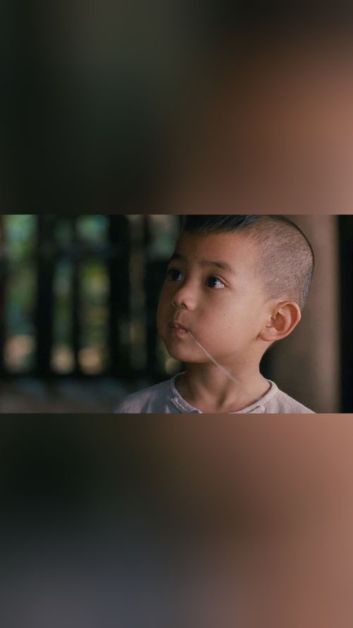 农夫伦理片,经典伦理电影有哪些