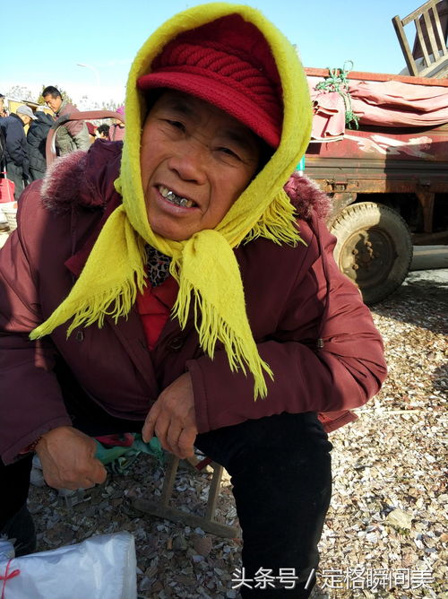 农村大叔大妈野外做美食图片,以大叔为话题作文500字