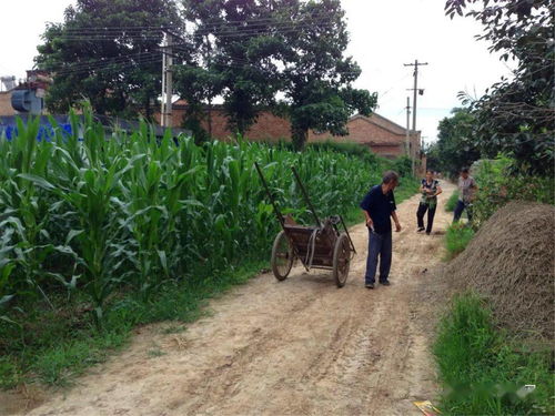 农村改革发展,农村改革的主要内容