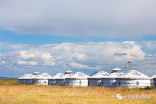 刘伯文和姚广孝,姚广孝vs刘伯温