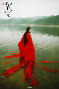 前世五百次的,佛说“前世五百次的回眸才换来今生的擦肩而过” 的下一句是什么