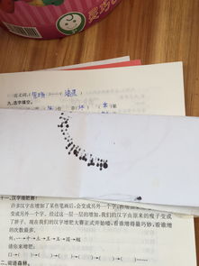 前什么后什么的成语,前什么后什么的成语