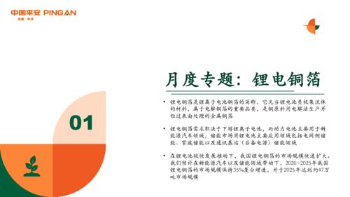 前瞻性,“前瞻性”是什么意思？