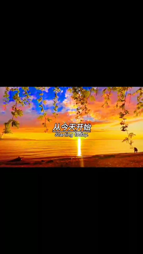 前途似锦,前途似锦和前程似锦的区别是什么？