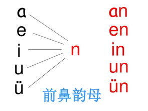 前鼻韵母和后鼻韵母有哪些,前鼻韵母和后鼻韵母有哪些？