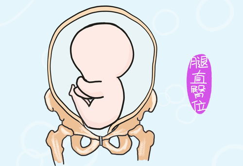 劝告你不听,劝告你不听——（ ）歇后语