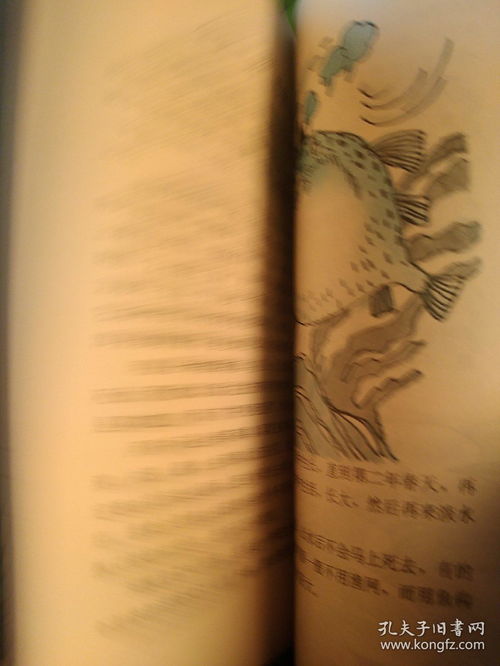 千奇百怪的意思,千奇百怪是什么意思 千奇百怪意思简单介绍