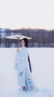 千山暮雪是什么意思,千山暮雪是什么意思？