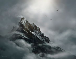 千山鸟飞绝,千山鸟飞绝的全诗意思