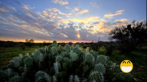千帆舞,天接云涛连晓雾星河欲转千帆舞是什么意思。