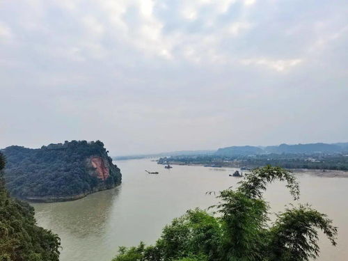 千江有水千江月,千江有水千江月…全诗是什么？