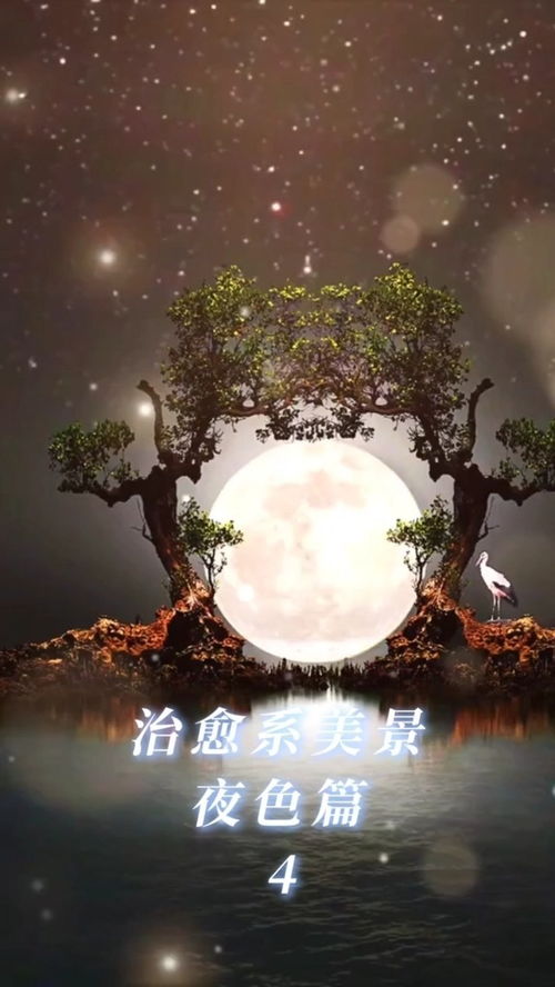 千里共婵娟但愿人长久是什么意思,但愿人长久，千里共婵娟的意思。