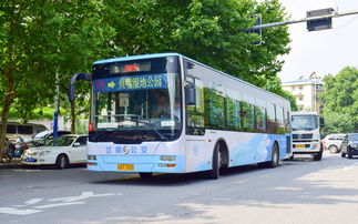 南京推出诚信公交,南京公交诚信卡是什么东西