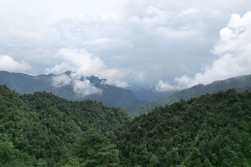 南岭国家自然保护区,南岭的地理位置