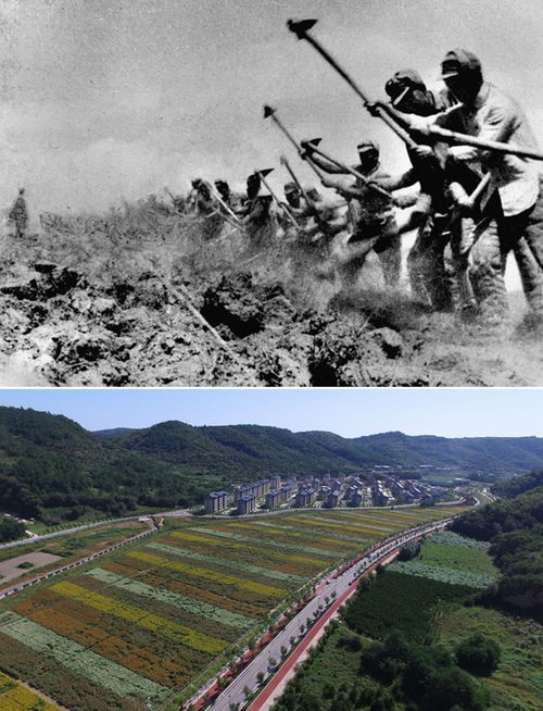 南泥湾开荒杨家岭讲话的资料,南泥湾开荒和杨家岭讲话的内容是什么？