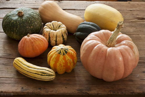 南瓜网,“谁笑到最后”怎么打？？？急急急急急急