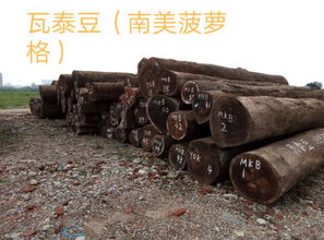 南美的什么俗称银三角,南美的什么俗称银三角