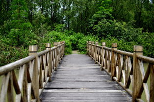 南沙滨海乐园,南沙一日游最佳路线