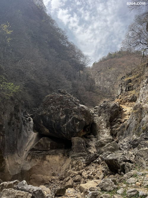 南歧在秦蜀山谷中,南歧在秦蜀山谷中，其水甘而不良。