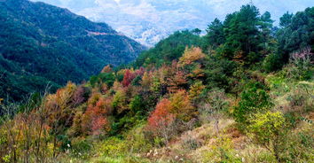 南黄古道,南黄古道详细介绍