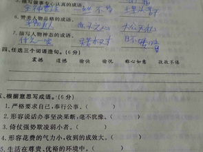 另怎么组词,另组词有哪些词语