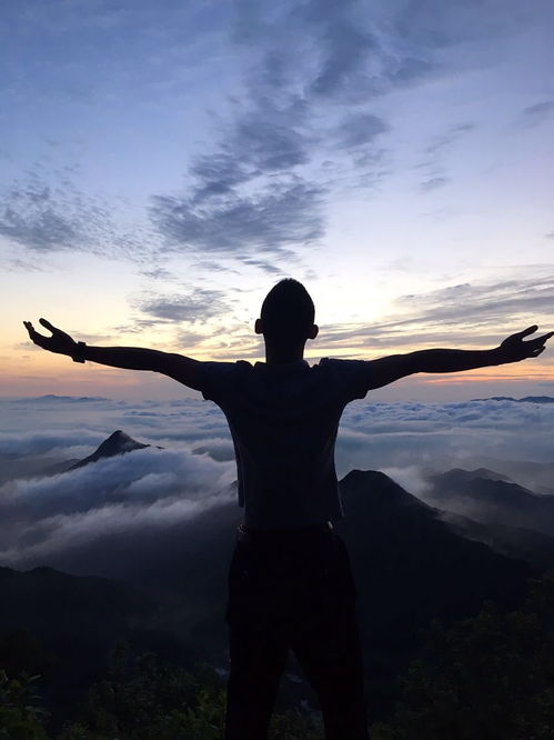 另类麦词,另类麦词