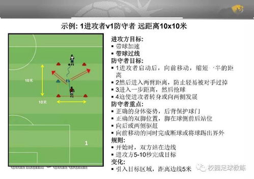 名词解释体育,体育名词解释