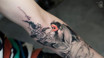 墨猴,墨猴为什么吃墨