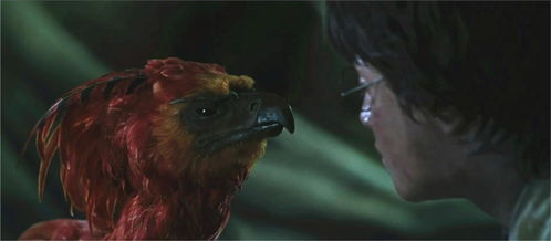 奇异神兽龙,央视的那个自然传奇——奇异神兽龙什么东西？科幻片吗？