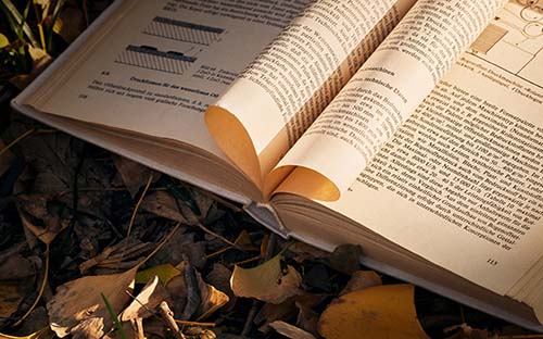 美国留学哈佛博士_美国留学哈佛博士申请条件