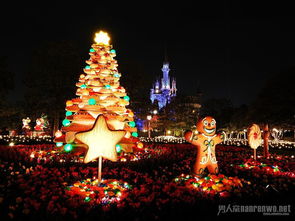 平安夜是哪个国家的节日,平安夜是那个国家的节日