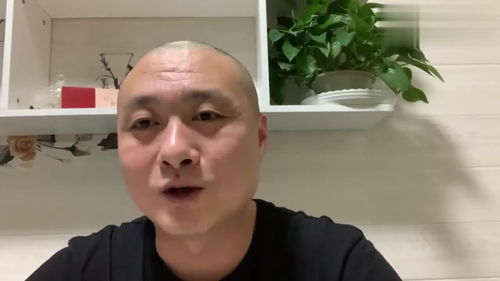 平易近人,平易近人意思