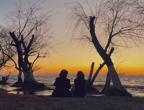 强烈的,强烈的什么怎么写?