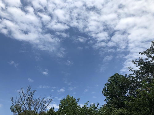 念天地之悠悠,前不见古人，后不见来者。念天地之悠悠，独怆然而涕下。全文翻译