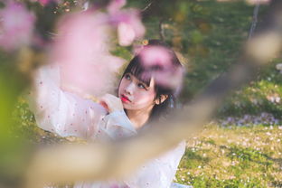 念如娇,念奴娇原文及翻译全文