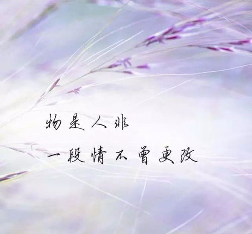 念念不忘心已碎猜六个字,猜六个字 念念不忘心己碎， 二人何时能相会。