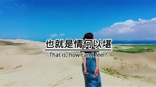 情何以堪什么意思,情何以堪什么意思